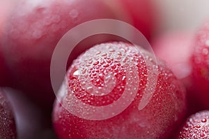 Drops of water on the surface of a delicious red plum