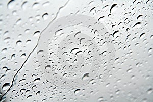 Drops of water on a window pane