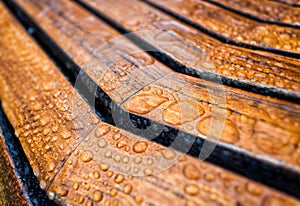 Drops of water on a wooden bench