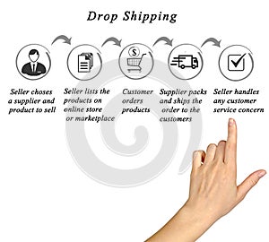 Dropshipping process :seller and producer