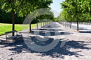 Drottningholm Palace in Stockholm,Linden Alley, re