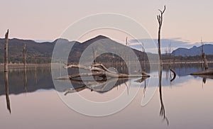 Drought affected dam, barren trees, water smoothed by slow shutter speed