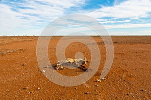 Drought in Australia