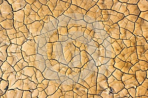 Drought breaks ground