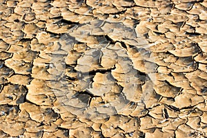 Drought breaks ground