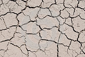 Drought conditions