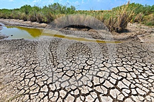 Drought Conditions photo