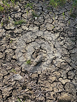 Drought - Cracked earth - crop failure from low rainfall