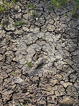 Drought - Cracked earth - crop failure from low rainfall photo