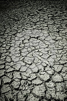 Drought Cracked Ground