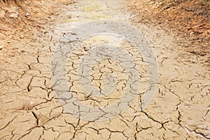 Drought cracked ground earth on top view. Crack soil surface texture. Background on hot arid climate weather. brown broken ground