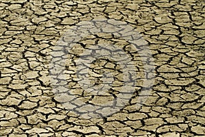 Drought Cracked Mud Grunge Texture