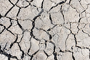 Drought cracked soil texture.Dry mud background texture. Global Warming