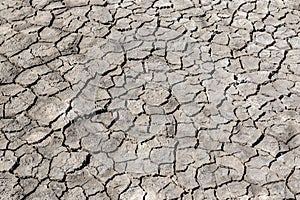 Drought cracked soil texture.Dry mud background texture. Global Warming