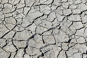 Drought cracked soil texture.Dry mud background texture. Global Warming