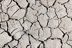 Drought cracked soil texture.Dry mud background texture. Global Warming