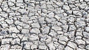 Drought and desertification of dry waterless land, cracked mud, arid ground soil for environmental catastrophe awareness