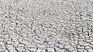 Drought and desertification of dry waterless land, cracked mud, arid ground soil for environmental catastrophe awareness