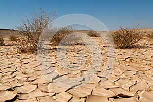 Drought and Desertification photo