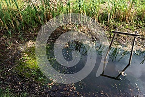 During drought dried up small pond in farmers agricultural field, growing grass on bottom in dried up pond