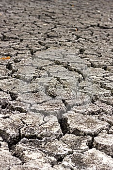 Dry cracked soil, dry lake shore