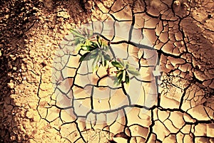 Drought, dry earth.