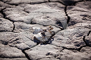 Drought, dry earth, sadness, dried up water