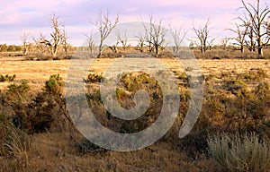 Drought in dry farm land