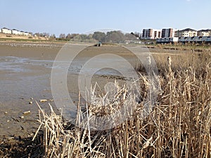 Drought, dry lake, pond. No rain, no water, drought disaster