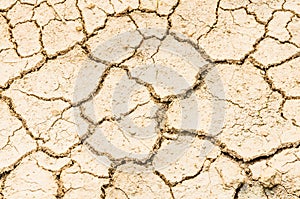 drought field
