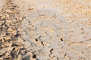 Drought, global warming, environment changes suddenly