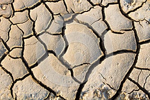 Drought, global warming, environment changes suddenly