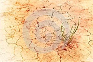 Drought hits our campaign