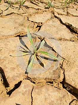 Drought land