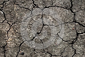 Drought land background. Closeup of dry cracked earth