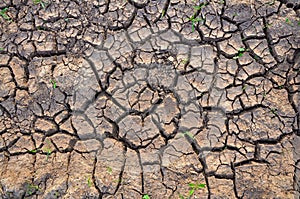 Drought land. Barren earth. Dry cracked earth background. Cracked mud pattern.