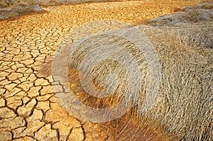 Drought land, climate change, hot summer