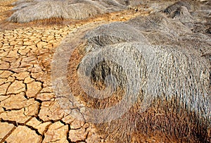 Drought land, climate change, hot summer