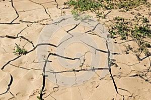 Drought land, cracked earth - Fuerteventura Island, Spain