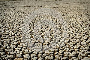 Drought land dry and cracked soil in arid season