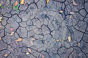 Drought land top view photo. Dry soil with crack net and fallen yellow leaves. Arid land texture. Black cracked surface
