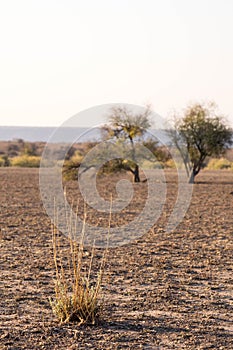 Drought land where usually a lake takes place, dry season in Namibia, Africa