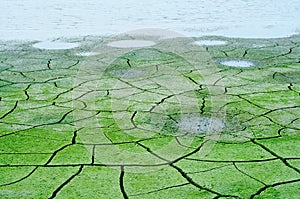 Drought, nature, green