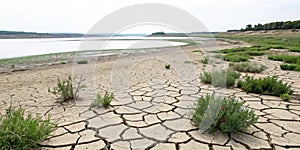 Drought, nature, green