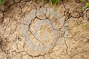 Drought and no rainfall concept. Global warming. Cracked earth background. Top view
