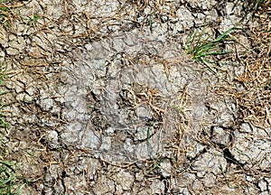 Drought. Parched dry cracked ground. photo