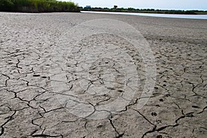 Northern Illinois Lake bed in DROUGHT conditions with Wildlife Tracks2 photo