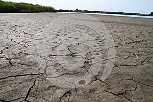 Northern Illinois Lake bed in DROUGHT conditions with Wildlife Tracks photo