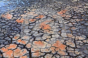 Drought Rain falls on dry parched cracked earth