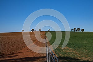 Drought red soil paddock with green field and fence